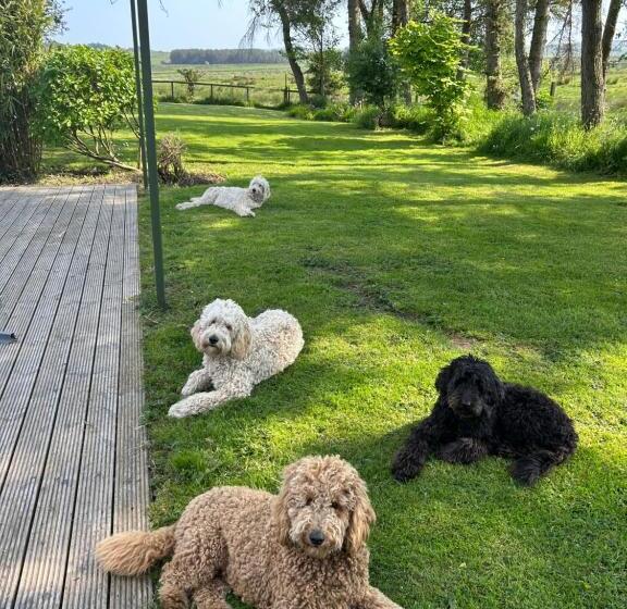 住宿加早餐 Brownrigg Half A House & Garden