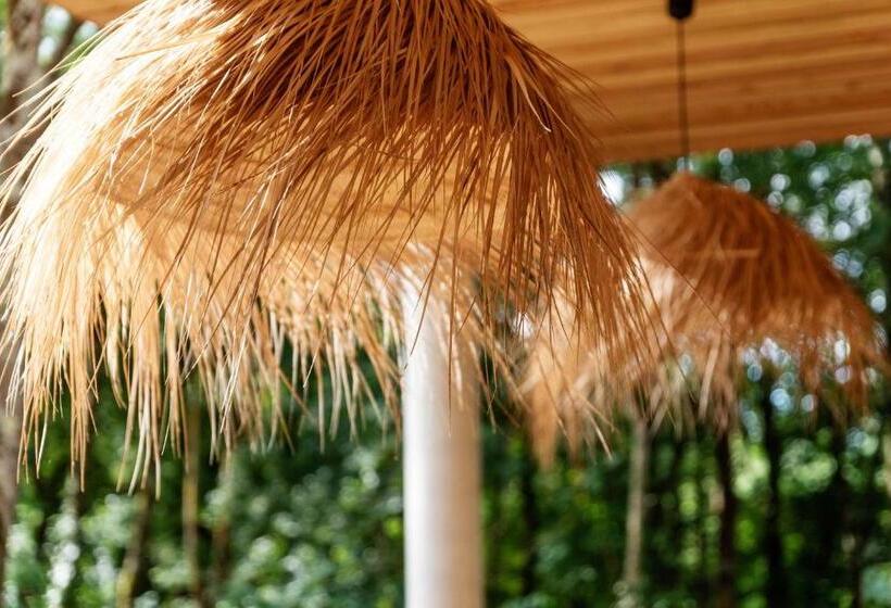 민박 Dans Les Arbres