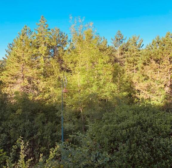 ベッドアンドブレックファースト Le Domaine Sainte Raffine, Piscine, Charme Et Insolite