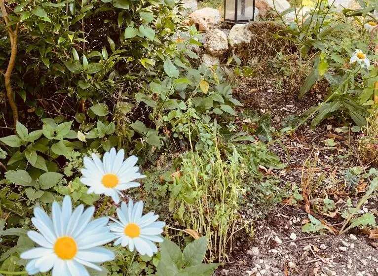 Aamiaismajoitus (B&B) Le Domaine Sainte Raffine, Piscine, Charme Et Insolite