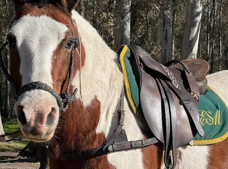 Hotelli Estancia San Mateo