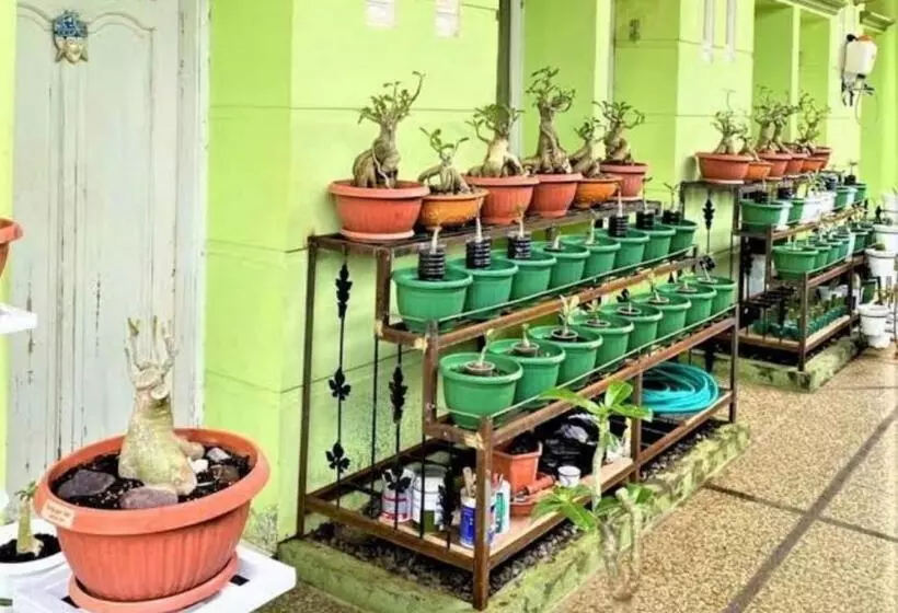 Hotelli Oyo 93074 Wisma Aliyah