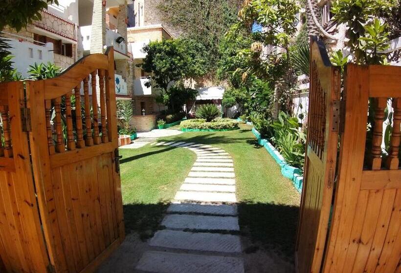 پانسیون Agami Guest House