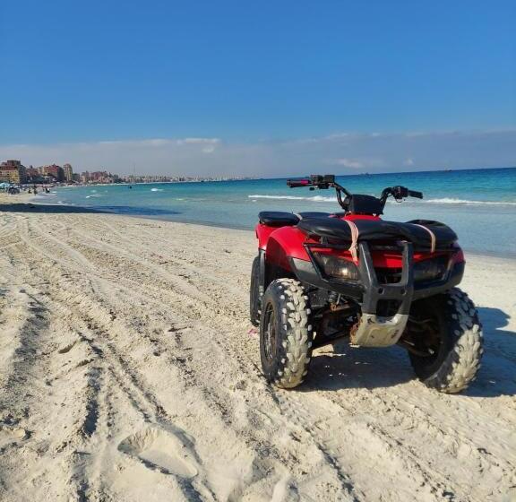 پانسیون Agami Guest House