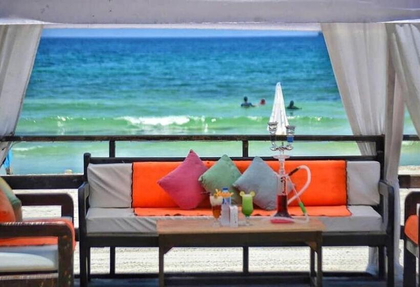 پانسیون Agami Guest House