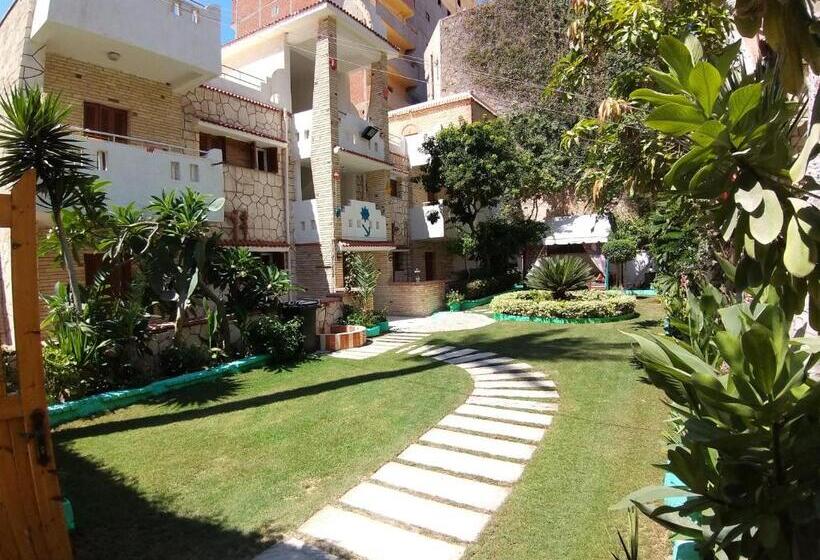 پانسیون Agami Guest House