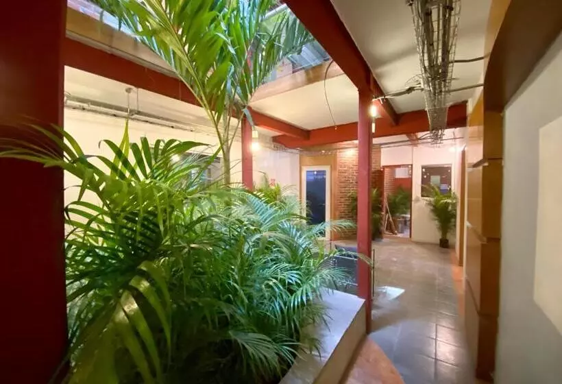 Roomies Hostel Reforma El ángel