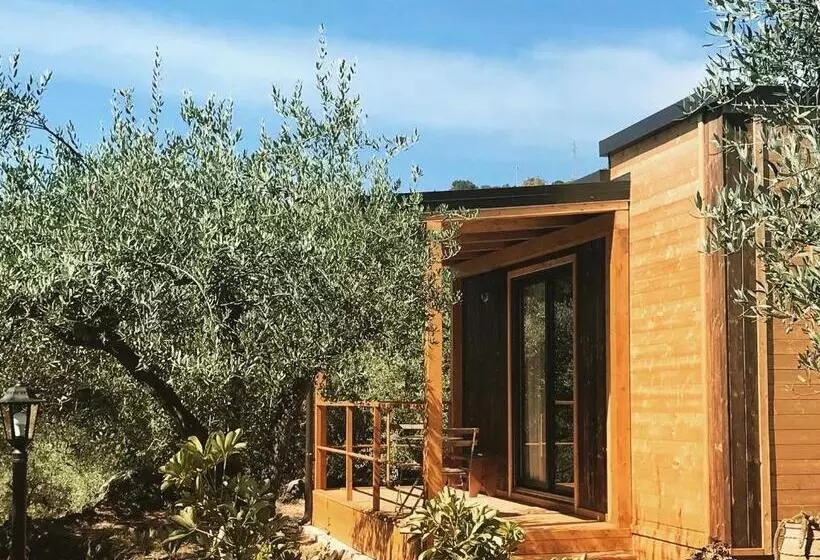 تختخواب و صبحانه Aprisa Garden