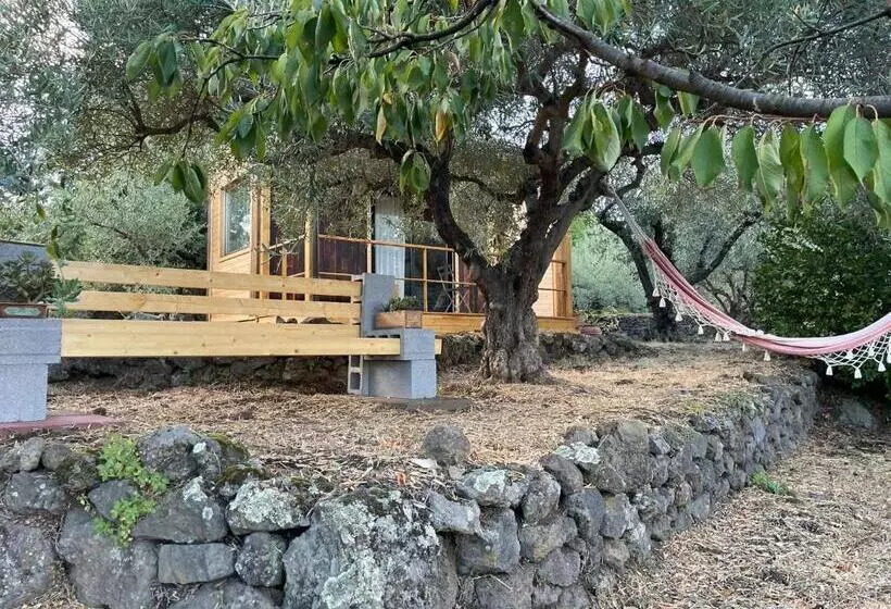 تختخواب و صبحانه Aprisa Garden