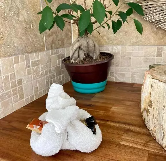 ベッドアンドブレックファースト Chambre D Hôtes La Mandala