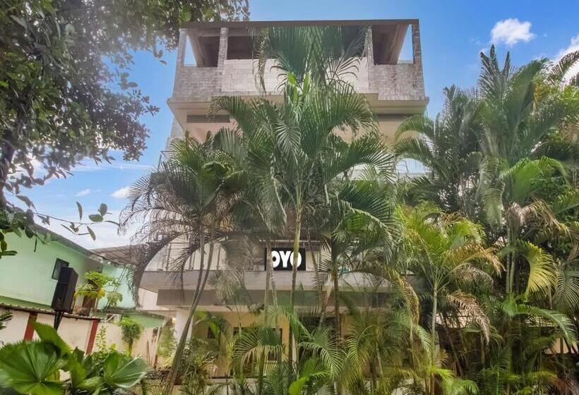 酒店 Collection O Casa De Sky