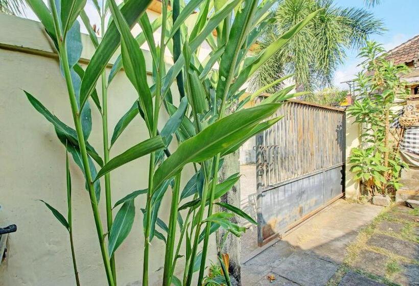 酒店 Oyo Life 92954 Shanti Kost