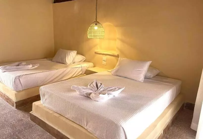 ペンション Ayujidda Nubian House