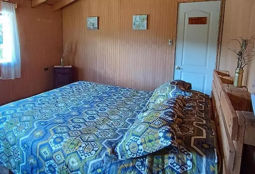 پانسیون Petrohue Hospedaje Dónde La Nena