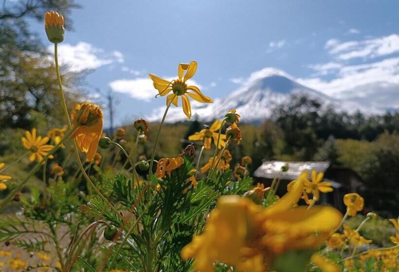 Пансион Petrohue Hospedaje Dónde La Nena
