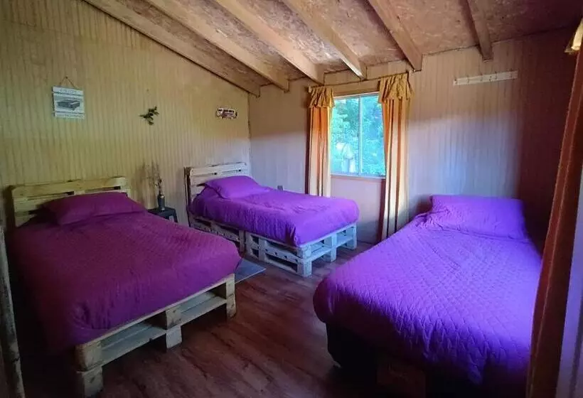 پانسیون Petrohue Hospedaje Dónde La Nena