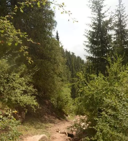 پانسیون Shatyly Lake Viewglamping