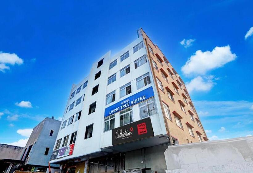 ホテル Collection O Living Tree Suites