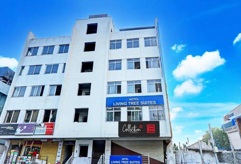 ホテル Collection O Living Tree Suites