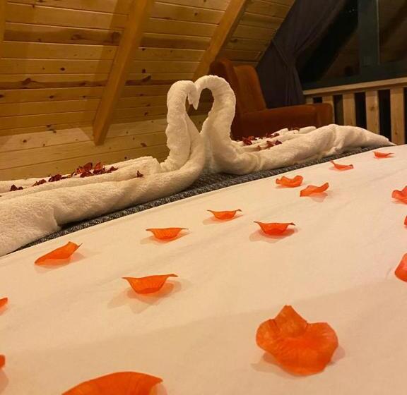 فندق Fırtına Suit Bungalov