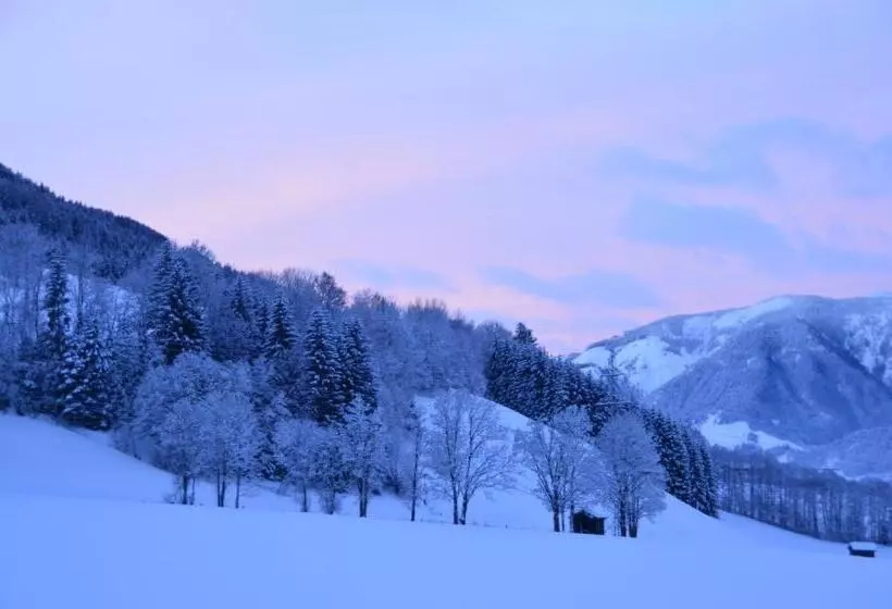 ペンション Doppelzimmer Herzogbauer