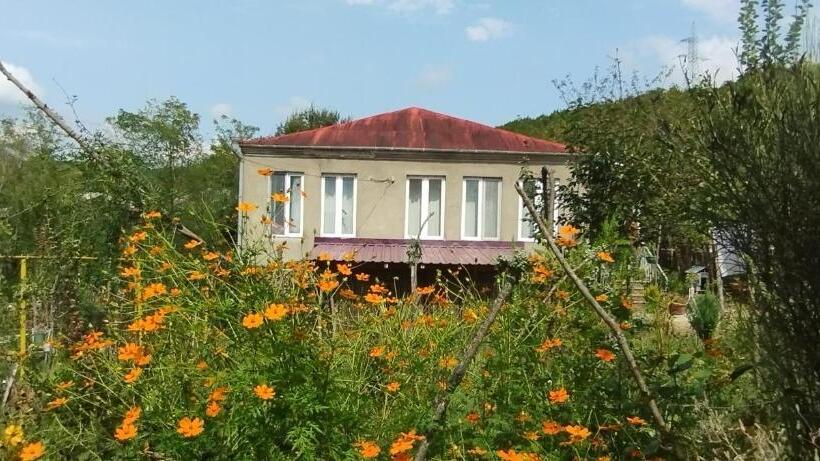 پانسیون Guesthouse David