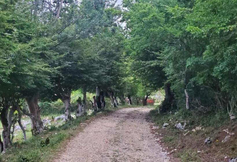 پانسیون Guesthouse David