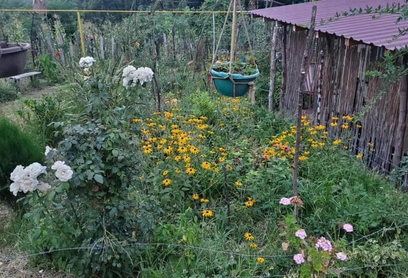 پانسیون Guesthouse David