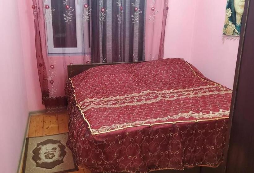 پانسیون Guesthouse David