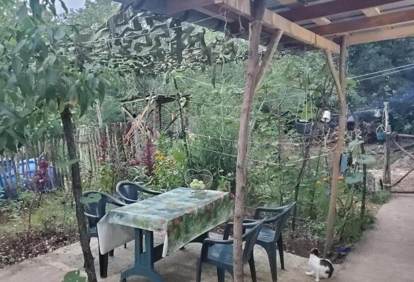 پانسیون Guesthouse David