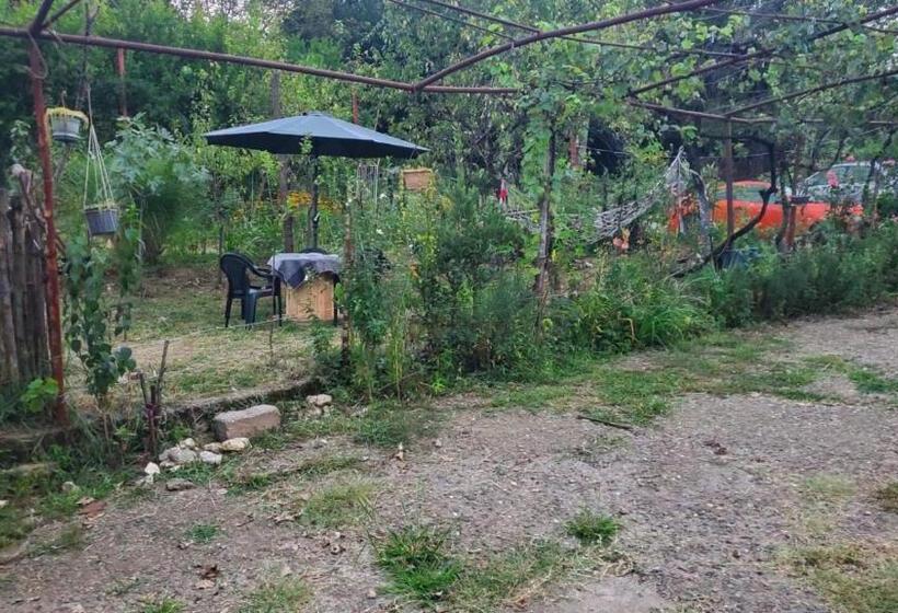 پانسیون Guesthouse David