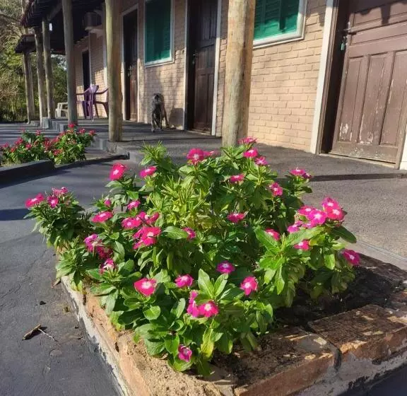 ユースホステル Pousada Cachoeira Do Campo