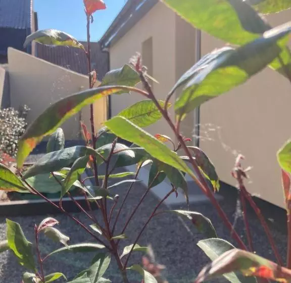 ベッドアンドブレックファースト Lov’&spa