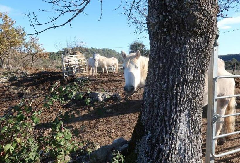 צימר Mas Les Jasses Chambre D Hôte Calme Et Agréable à La Campagne
