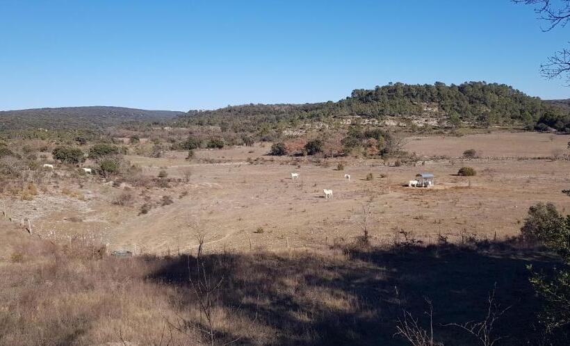צימר Mas Les Jasses Chambre D Hôte Calme Et Agréable à La Campagne