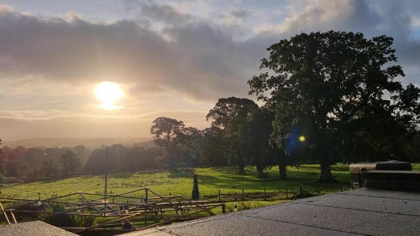 Bed and Breakfast The Plough Inn