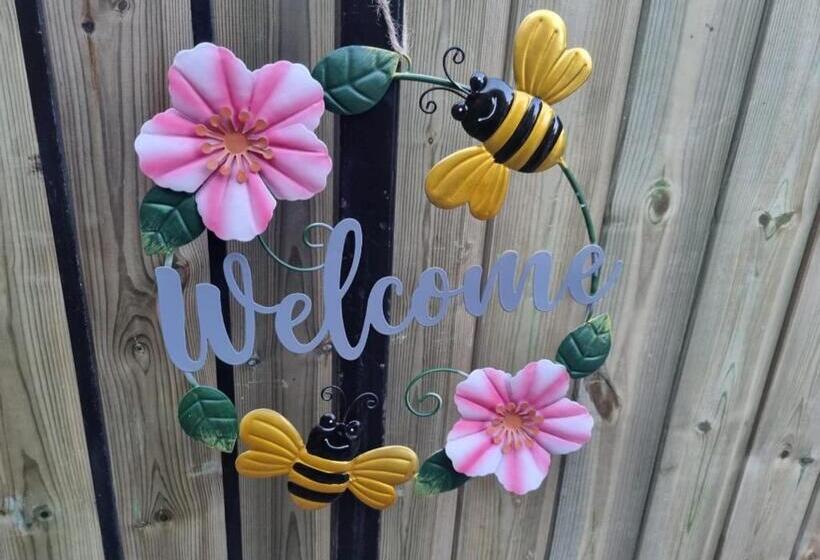 Bed and Breakfast The Plough Inn