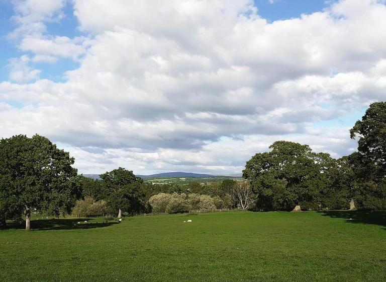 Bed and Breakfast The Plough Inn