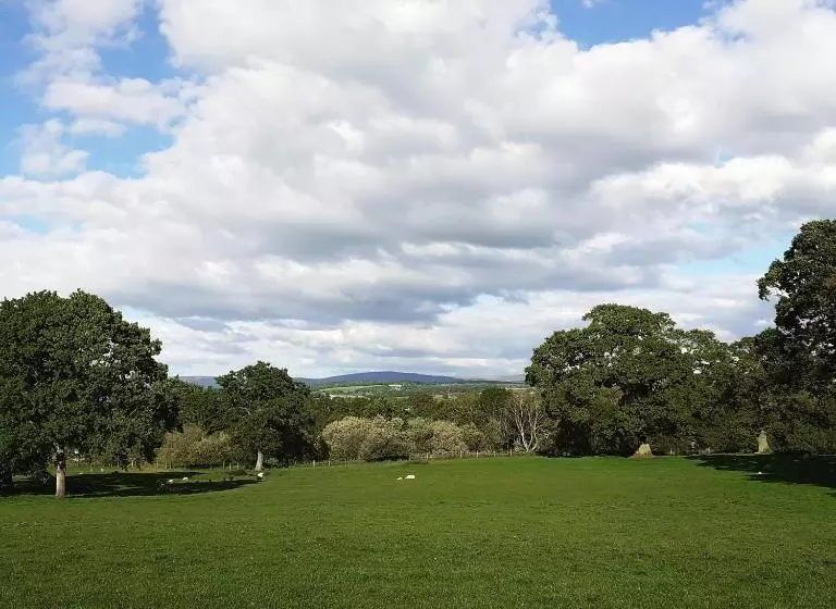 Aamiaismajoitus (B&B) The Plough Inn