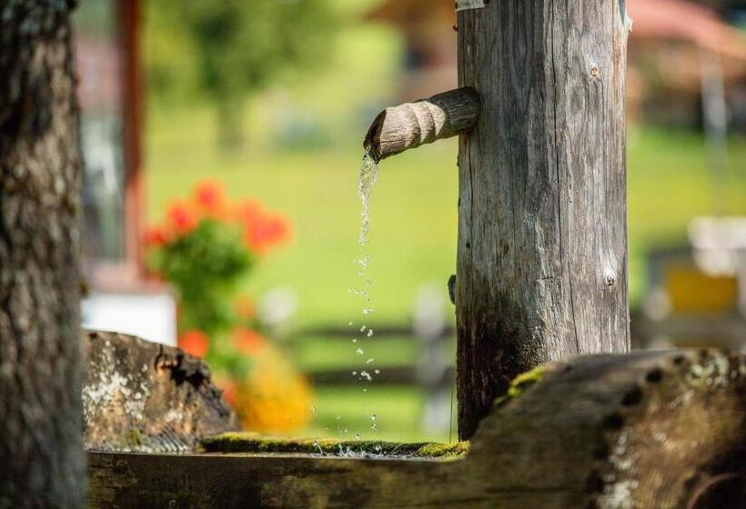 Hotel Zum Eichhof Zimmer 12