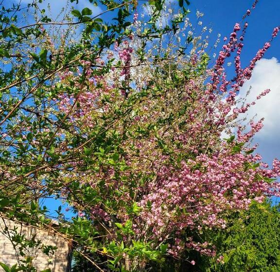 ペンション Les Causeries Du Monde