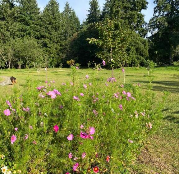 بنسيون Maison Dans Parc Privé, Sports Et Loisirs Proche Golf Du Coudray Montceaux