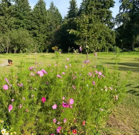 Majatalo Maison Dans Parc Privé, Sports Et Loisirs Proche Golf Du Coudray Montceaux