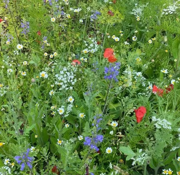 Majatalo Maison Dans Parc Privé, Sports Et Loisirs Proche Golf Du Coudray Montceaux