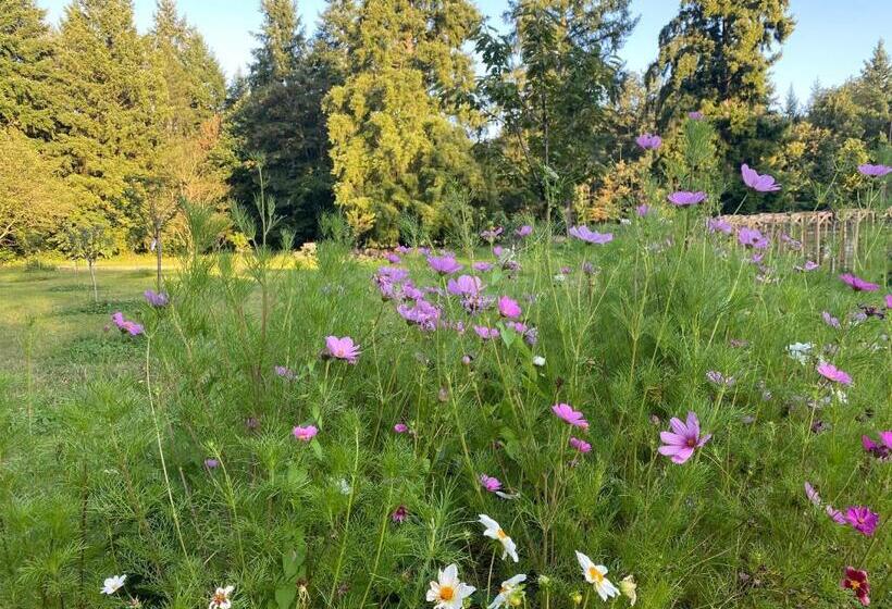 بنسيون Maison Dans Parc Privé, Sports Et Loisirs Proche Golf Du Coudray Montceaux