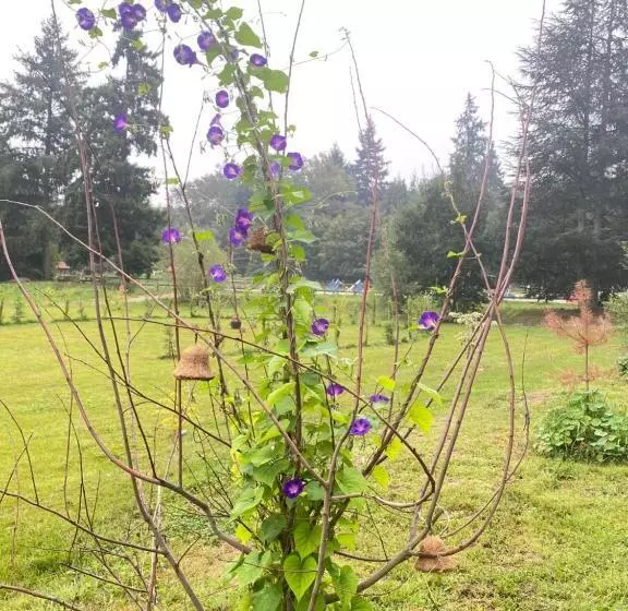 Majatalo Maison Dans Parc Privé, Sports Et Loisirs Proche Golf Du Coudray Montceaux