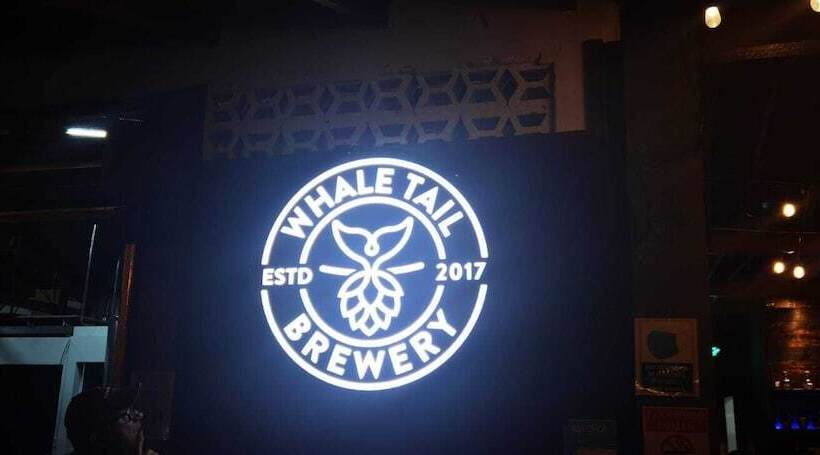 Общежитие Whale Tail