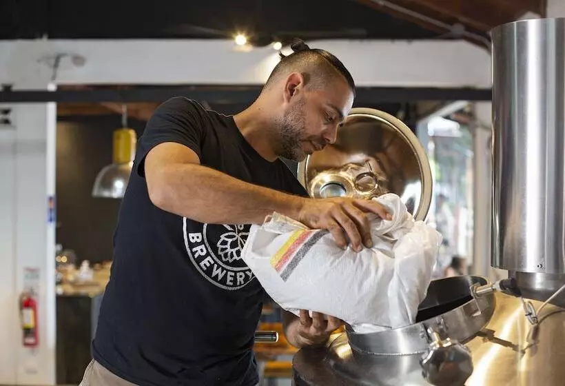 Retkeilymaja Whale Tail