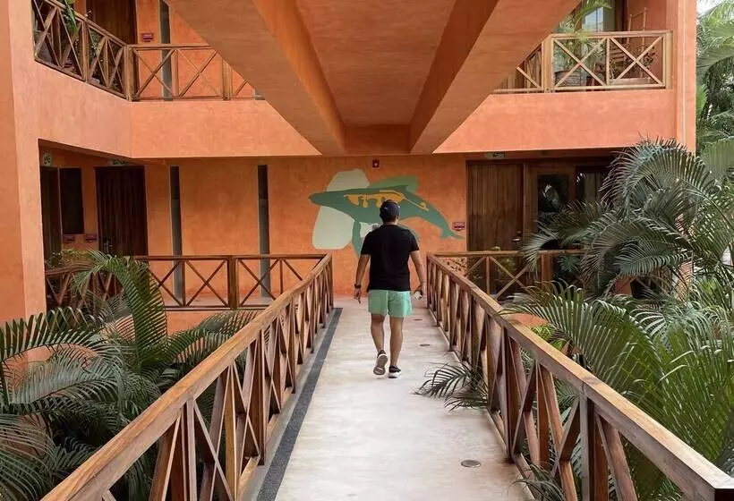 ホテル Casa Pepe Hostel Boutique   Sayulita
