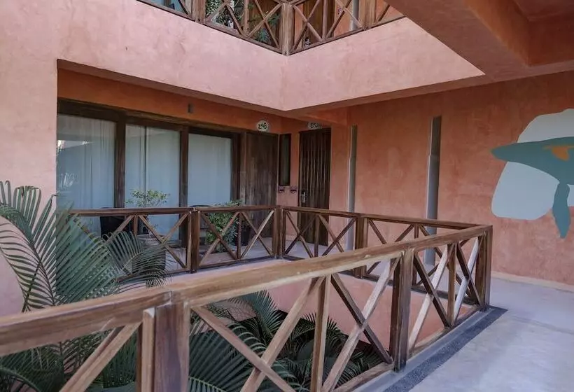 ホテル Casa Pepe Hostel Boutique   Sayulita